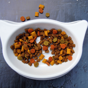 Brand Name BonaCibo Kitten 2